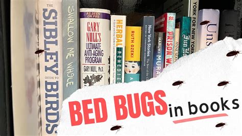 do bed bugs hide in books... or do they have a taste for bibliophiles?