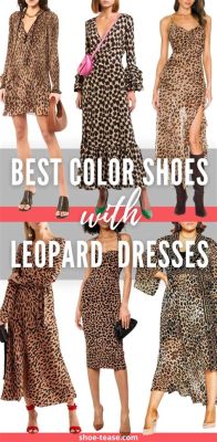 what colors go with leopard print shoes: exploring the art of color coordination